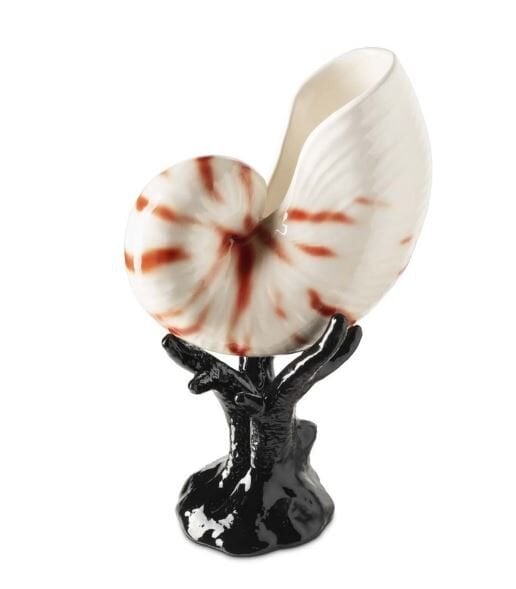 SEASHELL BISC. W/BASE H32 BLACK NATURAL