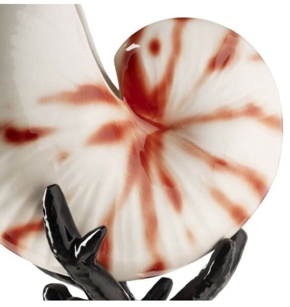 SEASHELL BISC. W/BASE H32 BLACK NATURAL