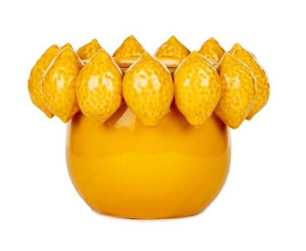 Limonlu Vazo S