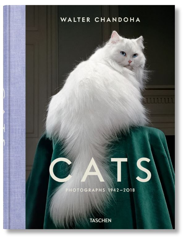 Cats - Photographs 1942-2018