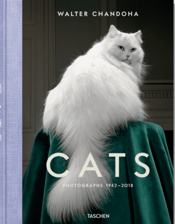 Cats - Photographs 1942-2018
