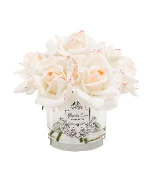 7 Gül Krem Pembe Gümüş Logo Oval Cam