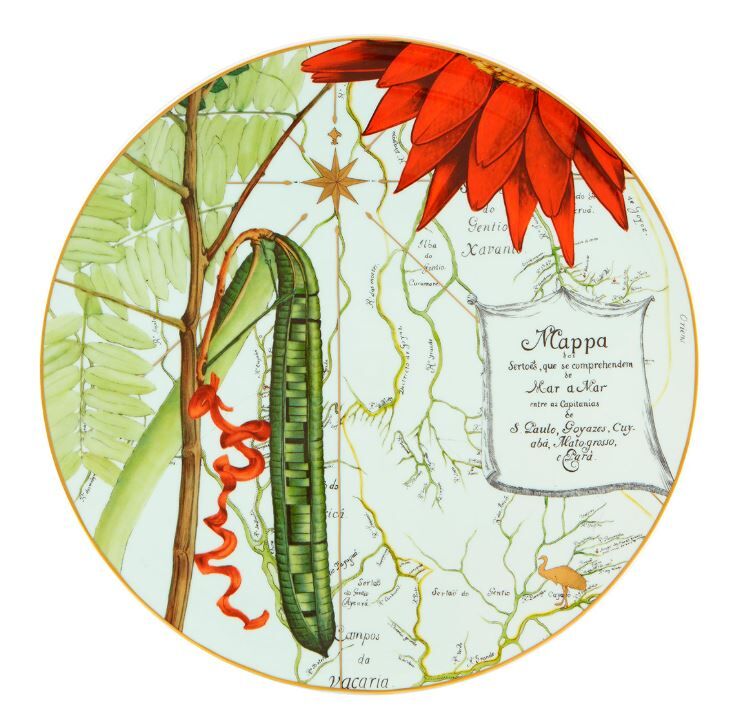 AMAZONIA Supla 33 cm