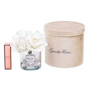 4 Gül Beyaz Gümüş Logo Oval Cam