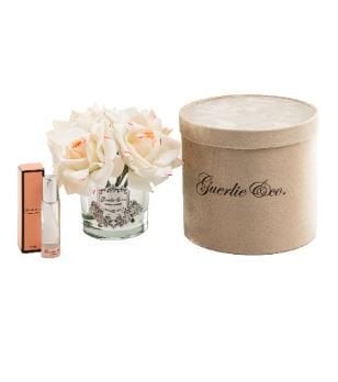 5 Gül Krem Pembe Gümüş Logo Oval Cam