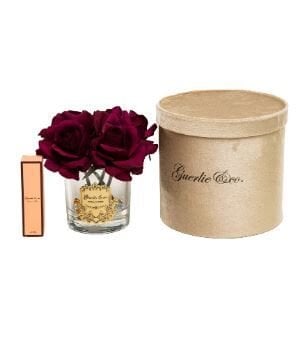 5 Gül Bordo Gold Logo Oval Cam