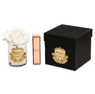 1 Gül Beyaz Gold Logo Oval Cam