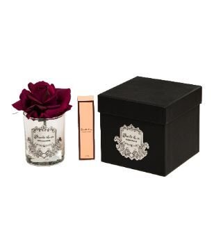 1 Gül Bordo Gümüş Logo Oval Cam