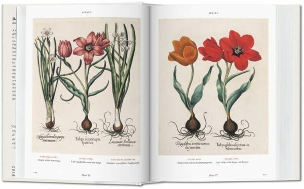 FLORILEGIUM