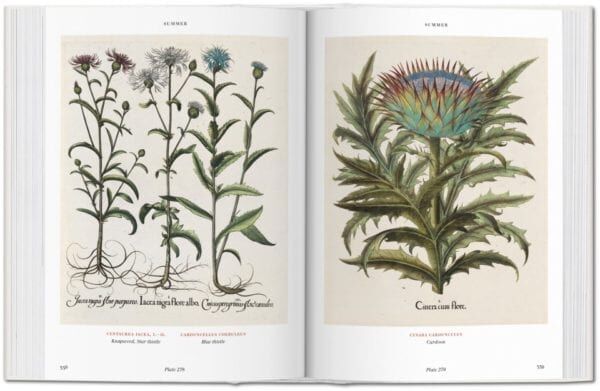 FLORILEGIUM