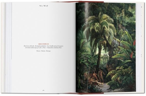 The Book of Palms XL