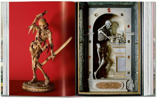 Massimo Listri. Cabinet of Curiosities. 40 series