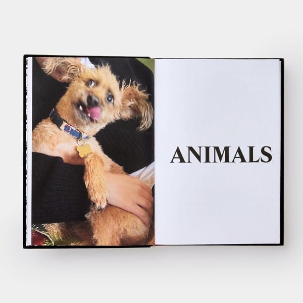 Palace Product Descriptions, The Selected Archive