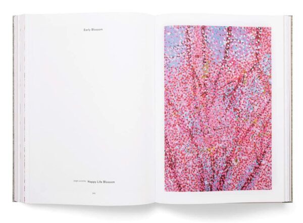 Cherry Blossoms