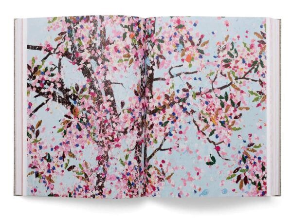 Cherry Blossoms