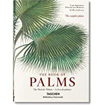PALMS