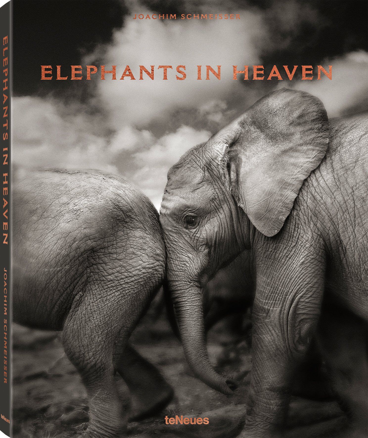 ELEPHANTS IN HEAVEN